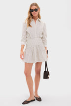Ivory and Dark Oak Micro Stripe Rocco Mini Dress