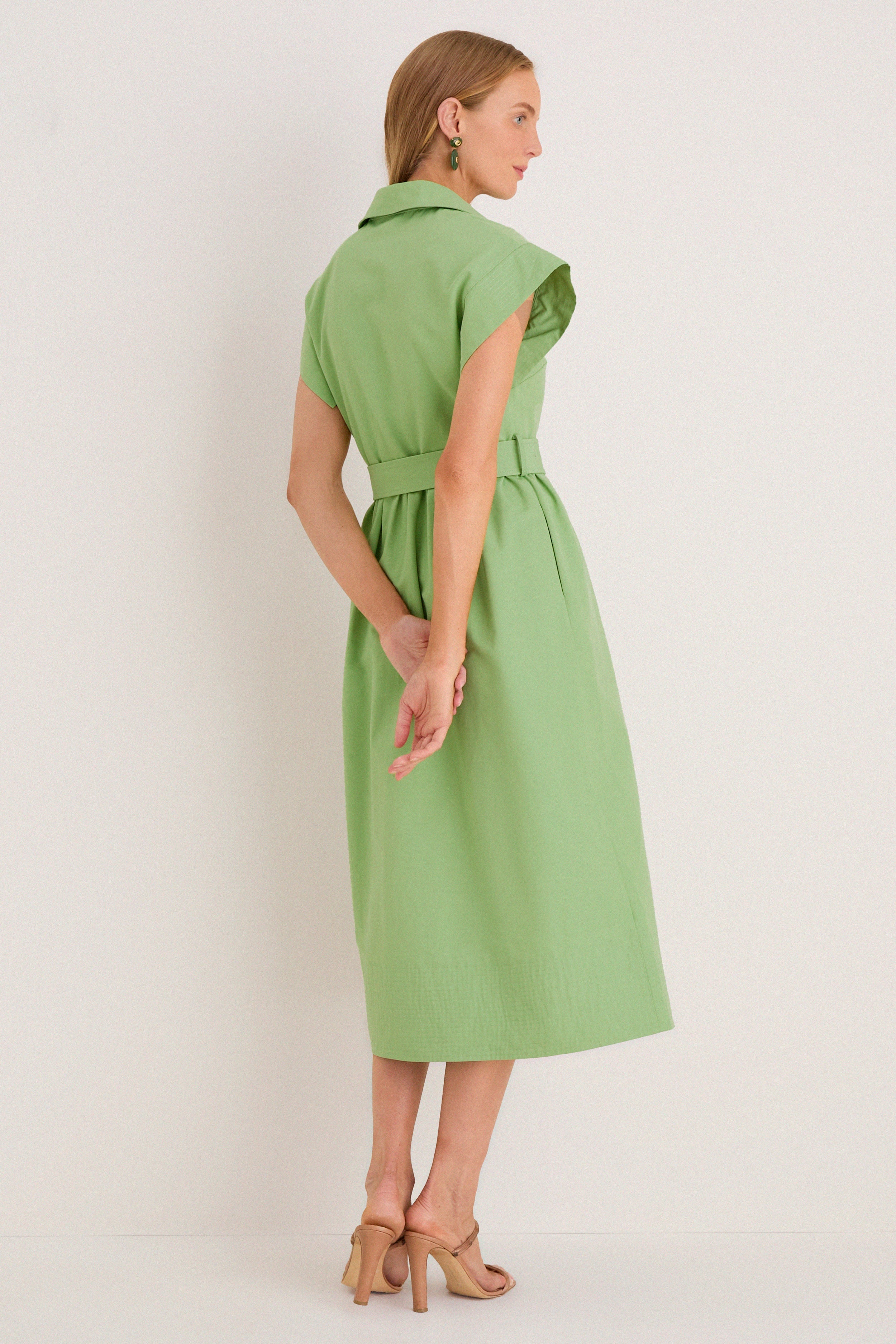 Pistachio Chloe Dress
