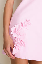 Pink 3D Floral Applique Rosey Mini Dress