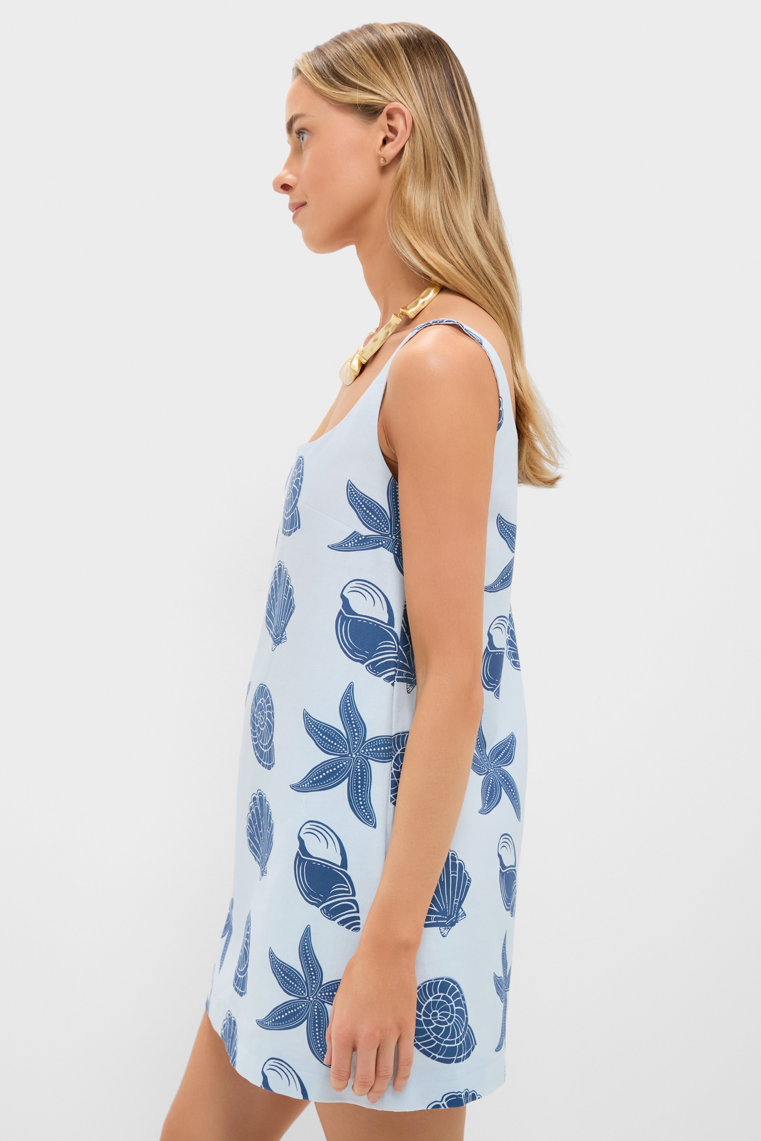 Blue Shell Cappie Mini Dress