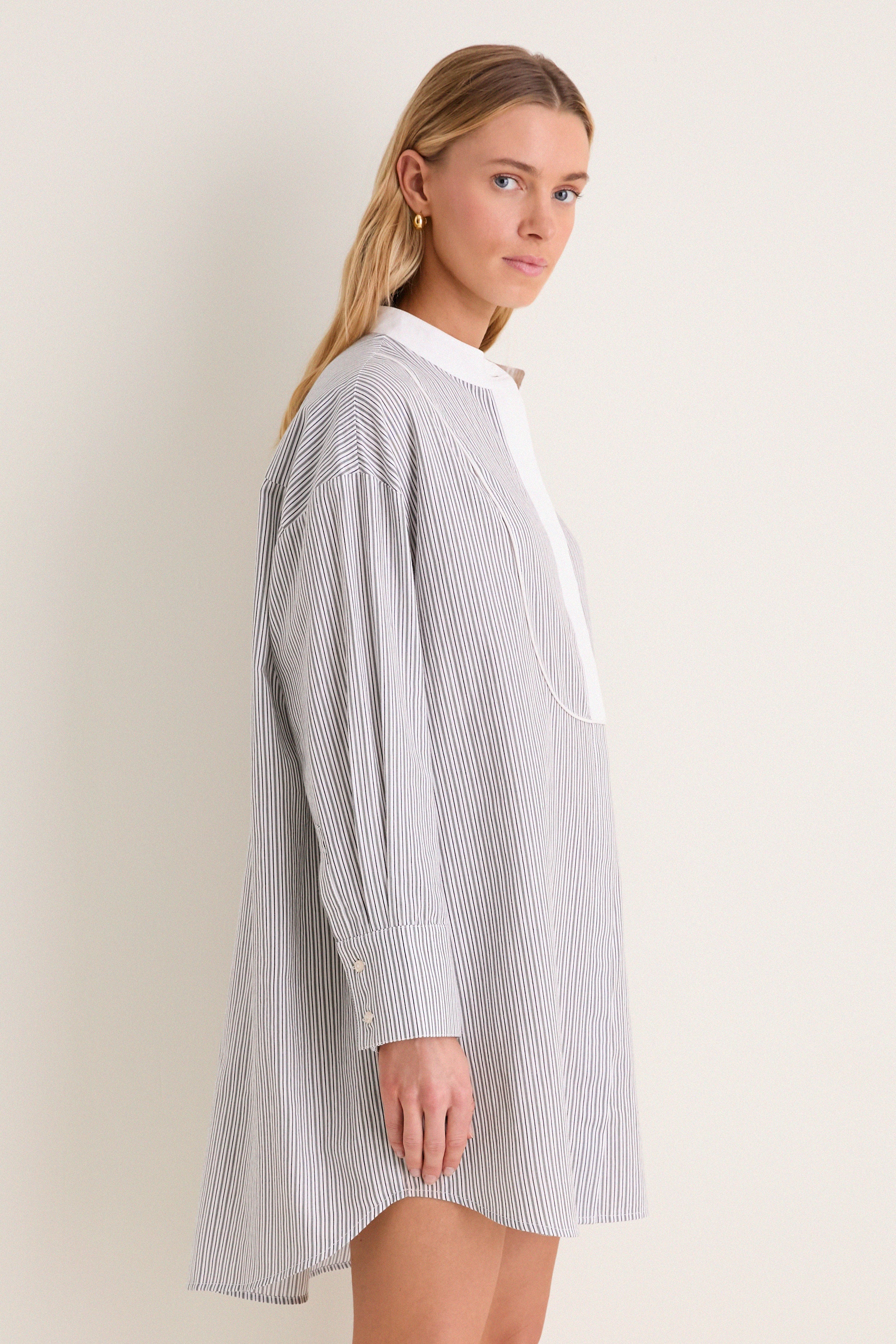 Evergreen Stripe Arlington Shirt Dress