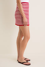 Avenue Stripe Knit Mystic Mini Skirt