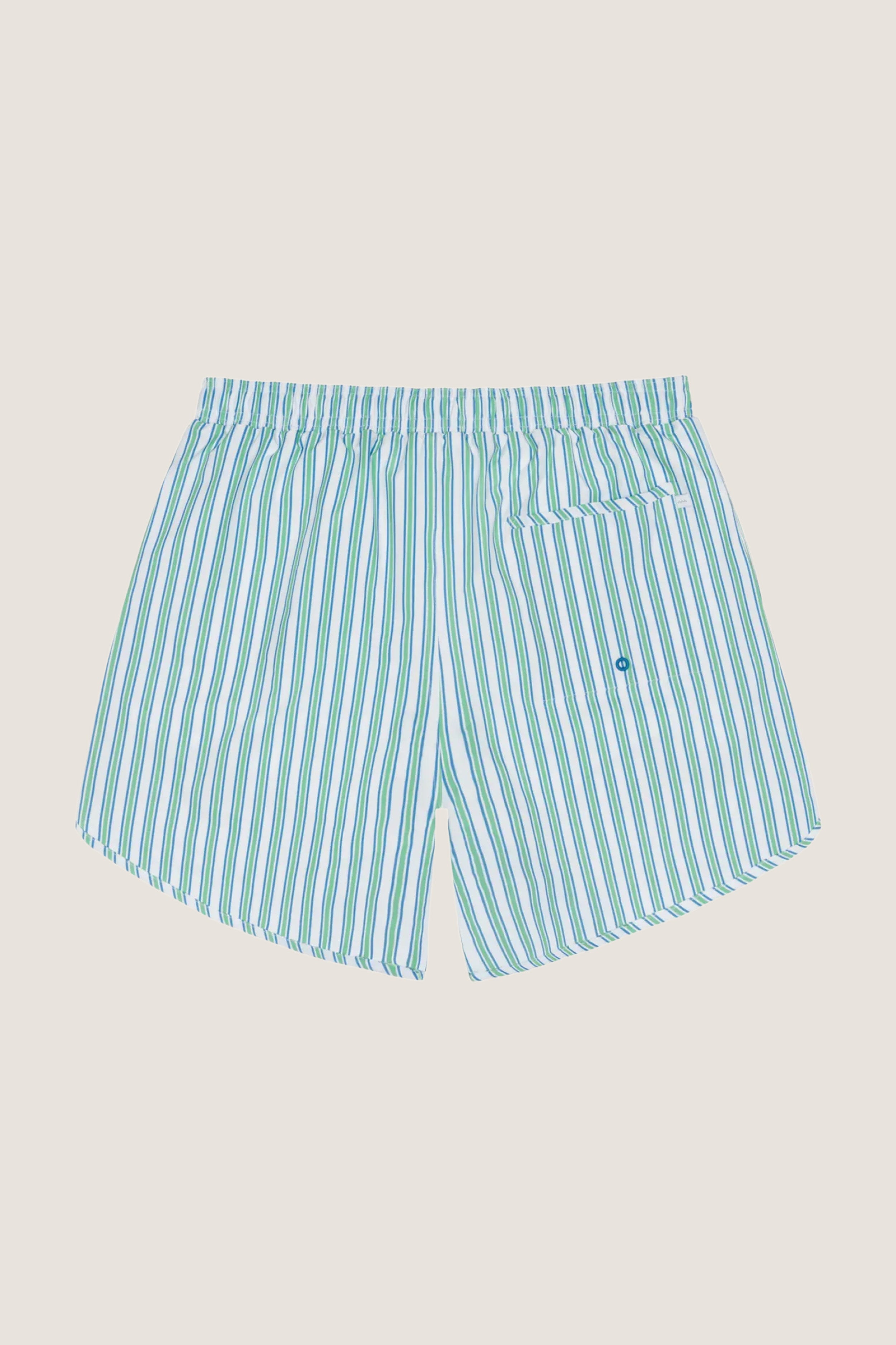 Men's Tamarin Stripe Boardie