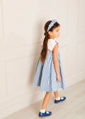 Embroidered Gingham Sleeveless Dress in Blue