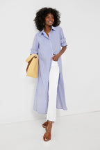 Blue Stripe Griffin Dress