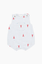 Lobster Check Baby Boys Noah Jumper